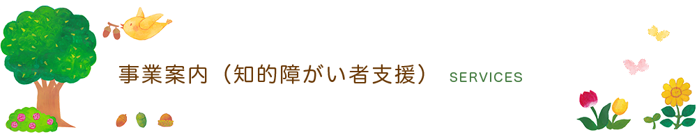 知的障がい者支援 事業案内